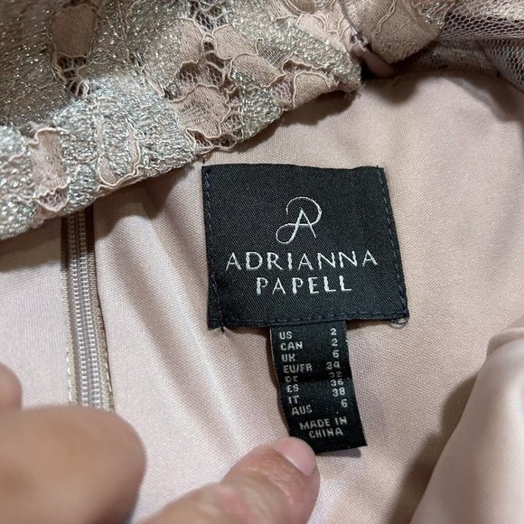 NWT Adrianna Papell Dusty Rose Embroidered Lace Popover Dress Size 2 NEW - Picture 11 of 15